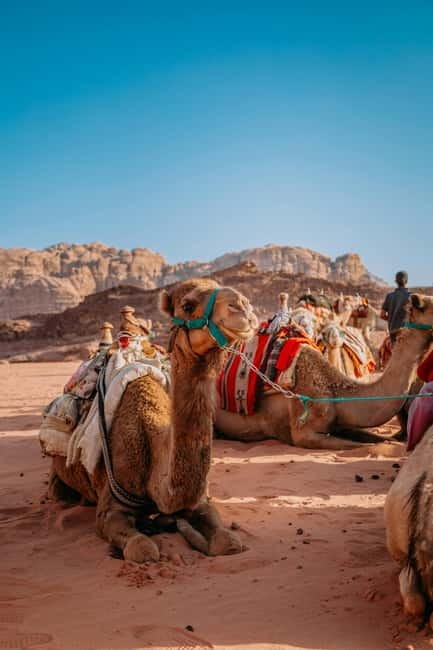 From Jaipur: Pushkar and Ajmer Private Day Trip - Private transport and a realistic 11-hour schedule