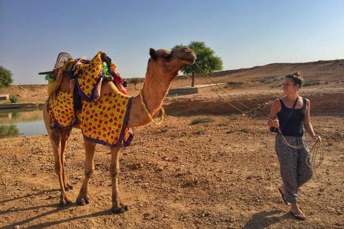 From Jodhpur : Overnight Stay In Desert With Camel Safari - Price and Logistics: Is $48 Good Value for What You’re Getting?