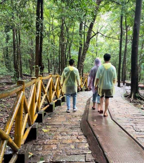 From Kochi: Athirappilly Waterfalls Day Trip with Transfers - Wildlife chances in the Western Ghats forest