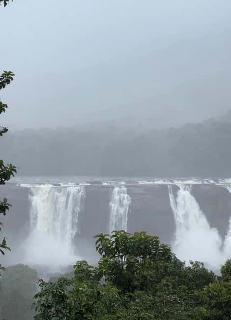 From Kochi: Athirappilly Waterfalls Day Trip with Transfers - Price and value for a private group up to 2