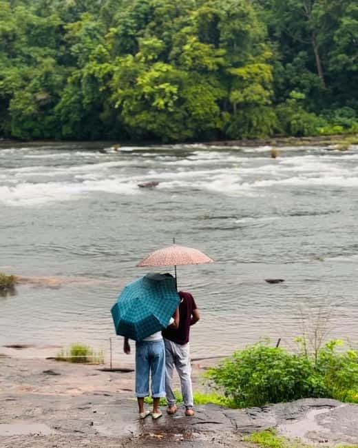 From Kochi: Athirappilly Waterfalls Day Trip with Transfers - Arriving at the falls: trails, viewpoints, and pacing your hike