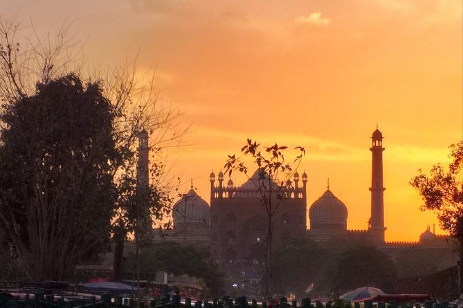 Full Day Old & New Delhi City Tour - India Gate, Parliament area, and the Red Fort connection