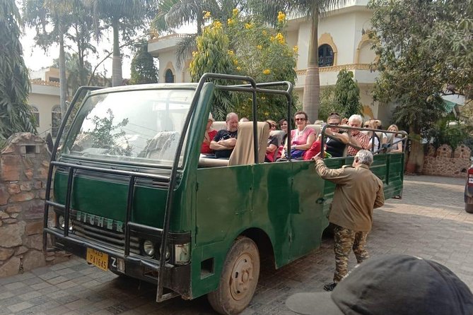 Full-Day Trip to Ranthambore National Park from Jaipur - Who this private Ranthambore day trip is best for