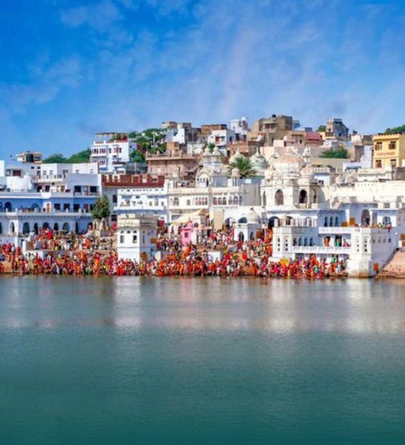 Fullday pushkar tour from jaipur with guid+camel/jeep safari - Key highlights you will actually care about