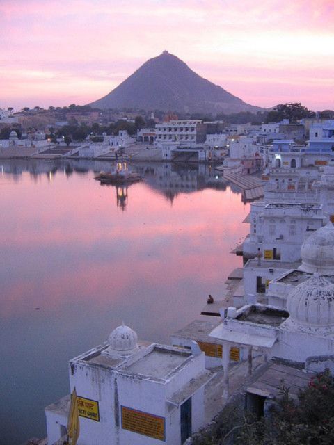 Fullday pushkar tour from jaipur with guid+camel/jeep safari - Camel or jeep safari, choosing the right option for your comfort level
