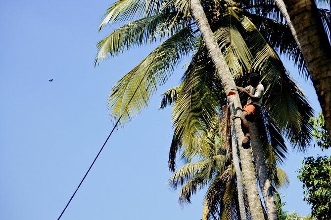 Funny and helpful Tuk Tuk Tour in Kochin - The Itinerary, Stop by Stop in Fort Kochi