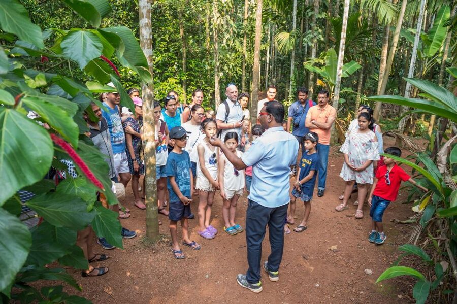 Goa Shore excursions : All inclusive Small Group tour - Tropical Spice Plantation: The senses stop that actually resets the day