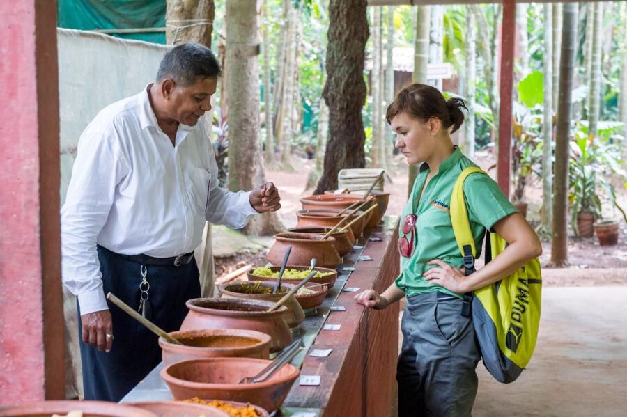 Goa Shore excursions : All inclusive Small Group tour - Old Goa churches: St. Cajetan and Bom Jesus in a single morning loop