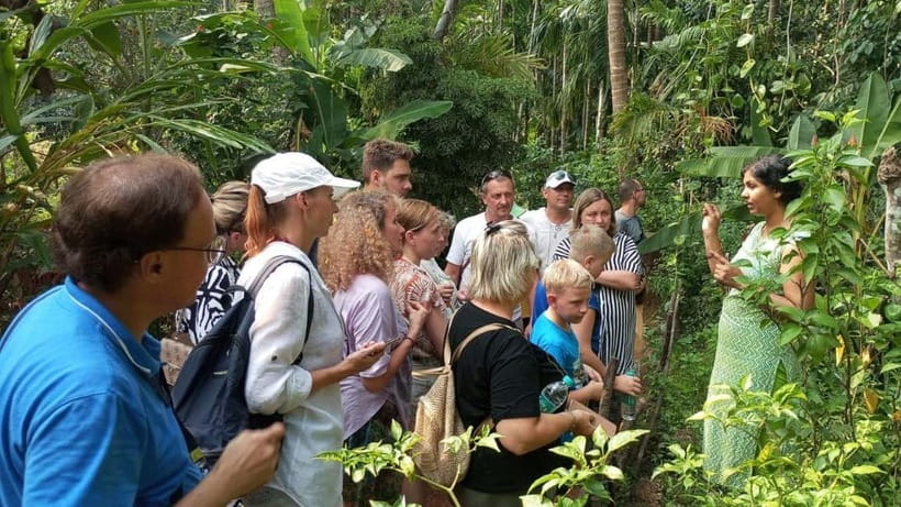 Goa Shore Excursions: Highlights of Goa - Transport, timing, and photo strategy for a smooth day