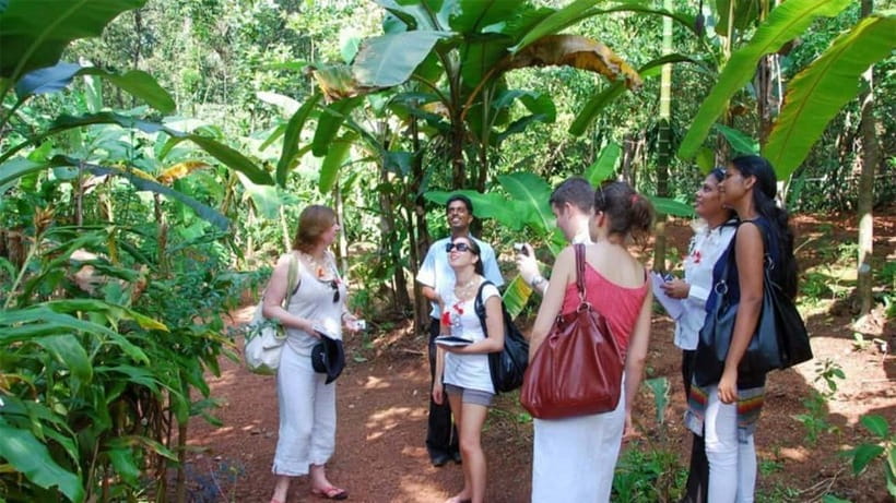 Goa Shore Excursions: Highlights of Goa - Price and value: what $60 buys you in real terms