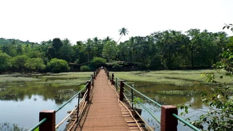 Goa Shore Excursions: Highlights of Goa - Who this tour fits best, and who might prefer something else