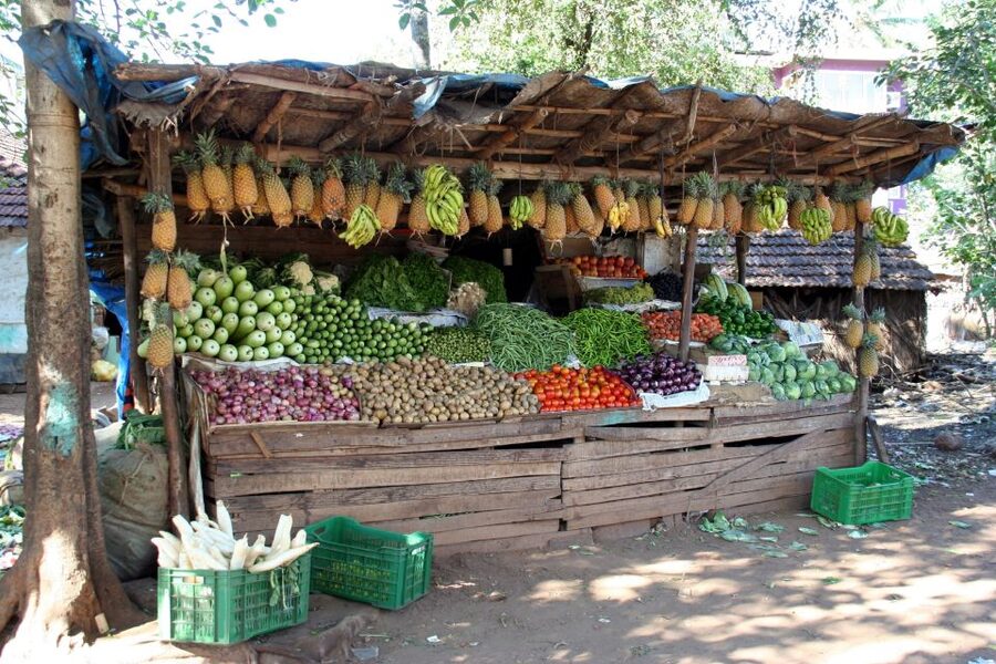 Goa Street Food Crawl: Authentic Food Tasting Experience - Price and value: is $28 a smart deal for food lovers?
