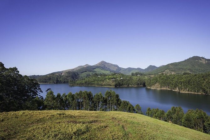 God's Own Country - KERALA (8 Days private trip) - From Thekkady to Periyar: switching gears from plantations to park terrain