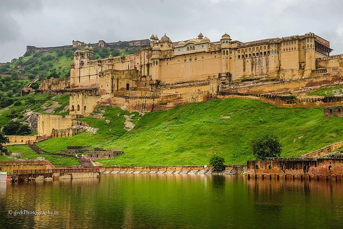 Golden Triangle with Wildlife and Royal Castle Stay - Ranthambore safari: your morning wildlife round with a nature guide
