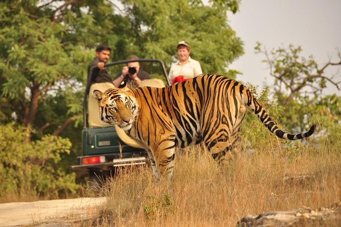 Golden Triangle with Wildlife and Royal Castle Stay - Transport and timing: how the day plans affect your energy