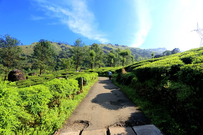 Green Magic Day Tour to Munnar - The tea-hills trek with guides Ramesh and Ramish