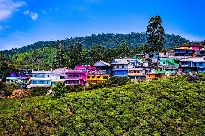 Green Magic Day Tour to Munnar - Munnar market time and a spice farm sensory visit