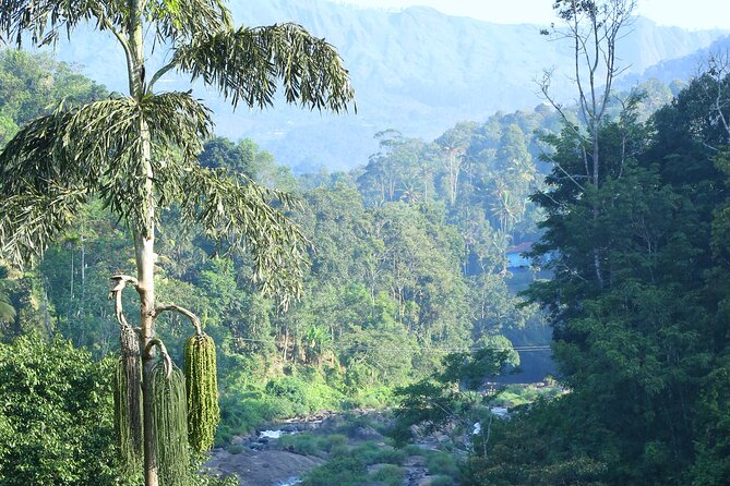 Green Magic Day Tour to Munnar - Cheeyappara and Valara waterfalls, quick breaks with real scenery