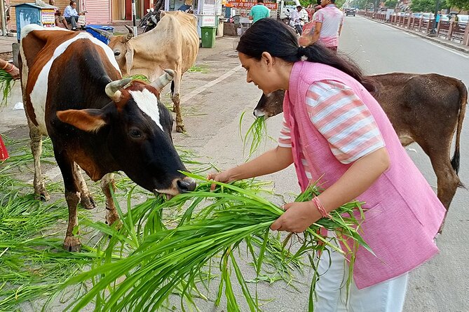 Guided Morning Bicycle Tour with Food Tasting in Jaipur - Thatheron ka rasta, brass utensil making, and snacking where locals eat