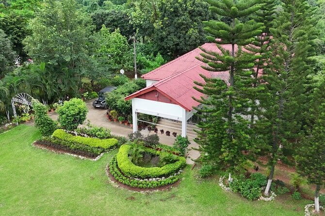 Guwahati Tea Garden tour @ Amchong - The 2-Hour Reality: How to Plan Your Timing