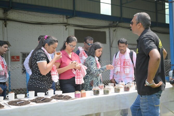 Guwahati Tea Garden tour @ Amchong - Stop 1 at Amchong: Nursery Visit, Tea Plucking, and Tasting