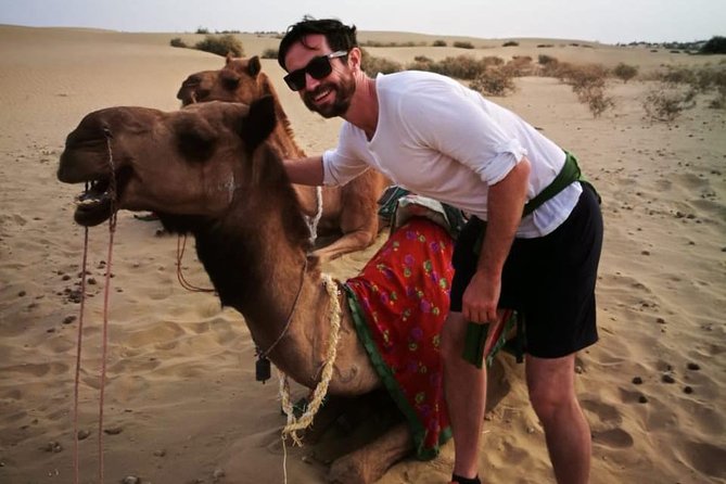 Half-Day Sunset Camel Safari in Rajasthan - Key things I think you’ll care about