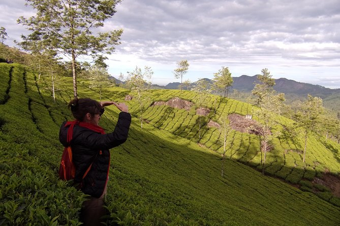 Half day trekking (munnar valley Trekking & Tours ) - After breakfast: the route through 5 mountains, forest, coffee and cardamom