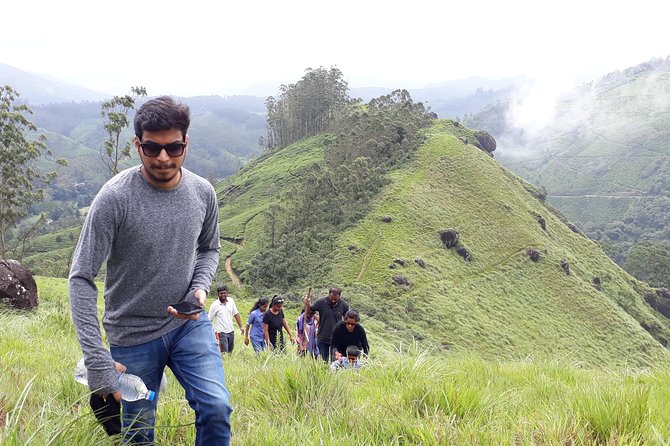half day trekking - The 8 km walking plan: tea plantations, grasslands, and an open view at 1700 meters