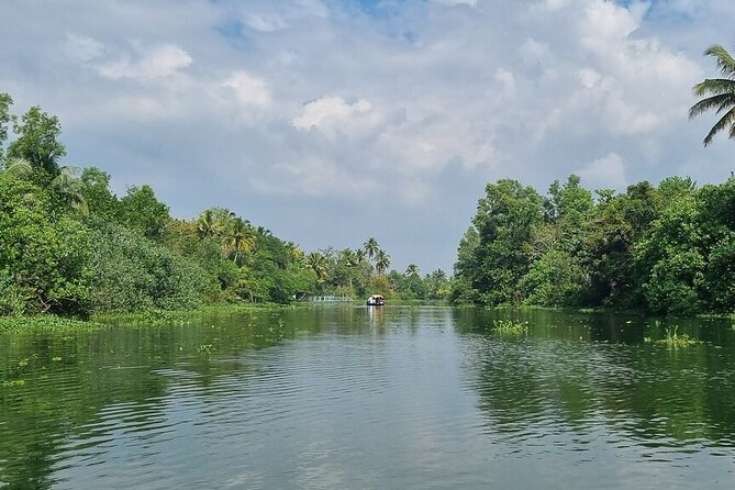 Half Day Village Backwater Eco Country Boat Cruise :Group Tour from Fort Cochin - Group Size, Seats, and What Kind of Day You’re Booking