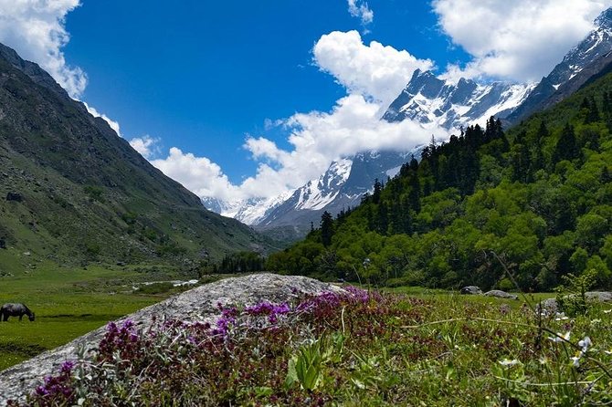 Har Ki dun Trek by Himalaya Shelter - Key highlights before you go