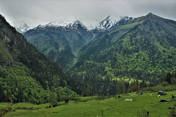 Har Ki dun Trek by Himalaya Shelter - Sankri to Osla (Day 2): first real hike at around 2,700 meters