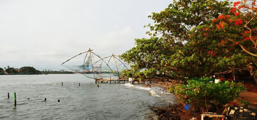 Highlights of Cochin: Group Tour from Cochin Port - From Kochi Port to Fort Kochi, fast and well paced