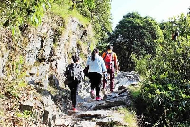 Hiking Day Tour to Triund from Dharamshala - Key Highlights You Will Actually Feel on the Trail