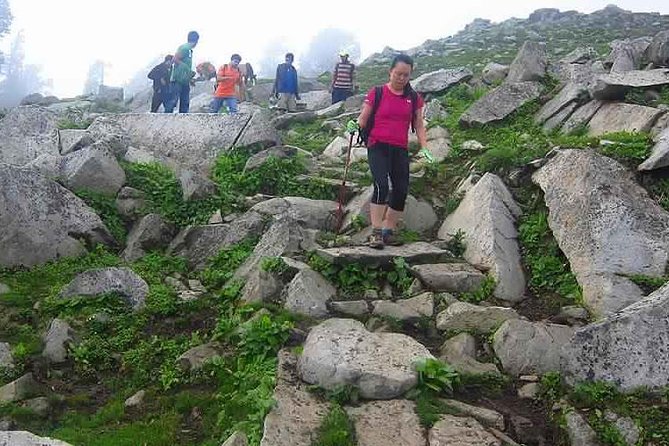Hiking Day Tour to Triund from Dharamshala - Triund From McLeod Ganj in 7 Hours: What You’re Really Signing Up For