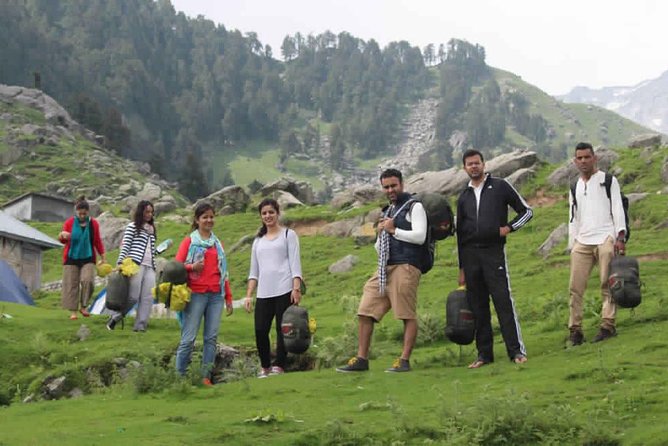 Hiking Day Tour to Triund from Dharamshala - The Forest Climb: Oak, Rhododendron, and Deodar Up to Triund