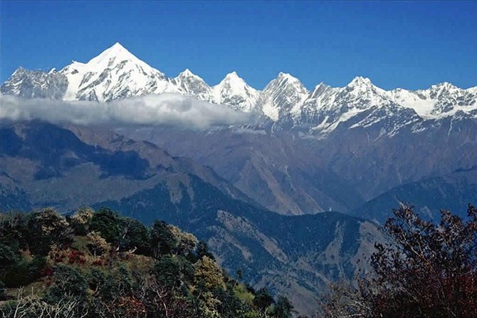 Hiking Day Tour to Triund from Dharamshala - Triund Alpine Meadow: Views, Lunch Stop, and Weather Reality