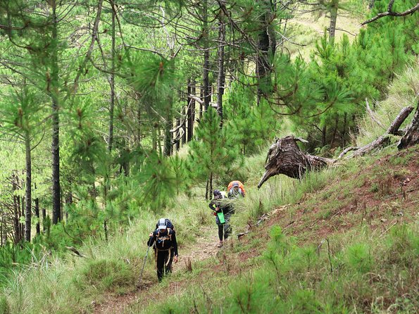 Hiking Day Tour to Triund from Dharamshala - Triund Fees and Lunch: The “Not Included” Costs You Need to Plan For