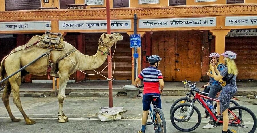 Jaipur: 3-Hour Morning Bike Tour of Jaipur Old City - Who this tour suits best, and who should think twice