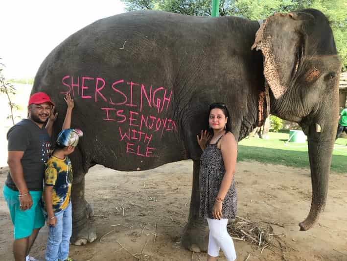 Jaipur: Elephant Interaction Tour - Key highlights at a glance