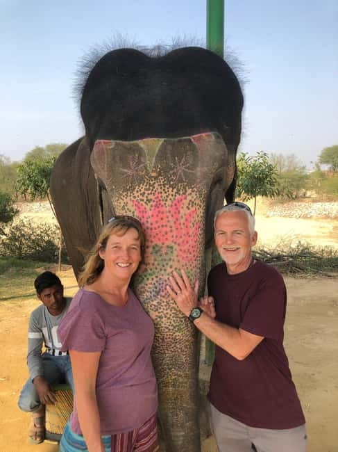 Jaipur: Elephant Interaction Tour - Hotel pickup to Elephant Village: how the 4-hour flow feels
