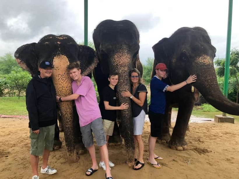 Jaipur: Elephant Interaction Tour - Mud bath with elephants: a messy, meaningful health-and-bonding moment