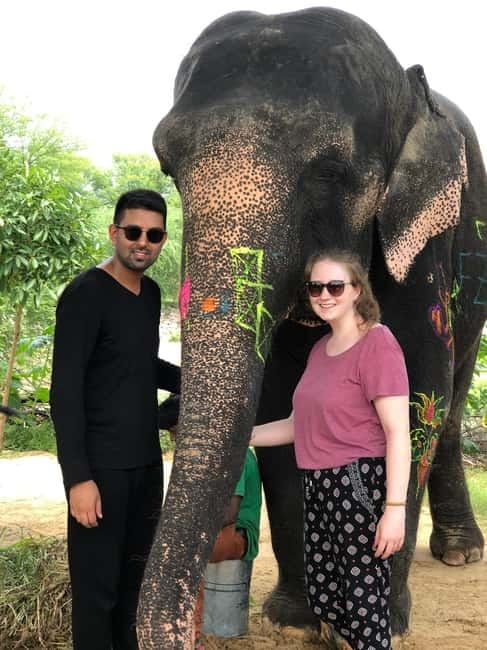 Jaipur: Elephant Interaction Tour - Painting elephants with natural, non-toxic color