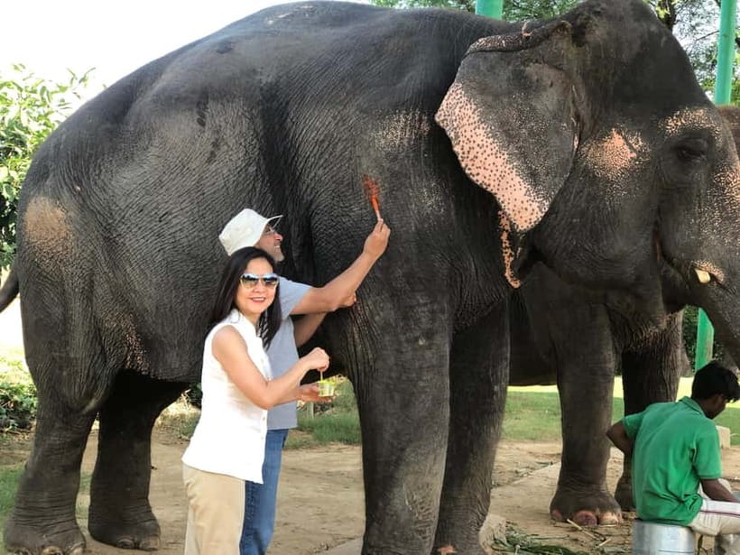 Jaipur: Elephant Interaction Tour - Walking with elephants in the village, not riding