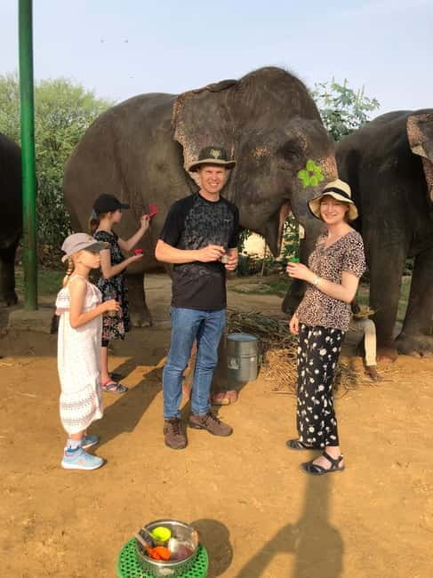 Jaipur: Elephant Interaction Tour - Washing and shower time: what safety limits mean in real life