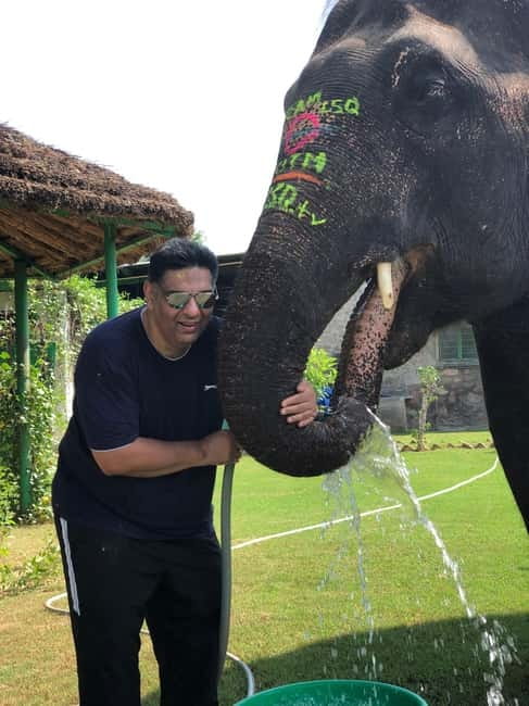 Jaipur: Elephant Interaction Tour - Price and value: why about $58 for 4 hours can work