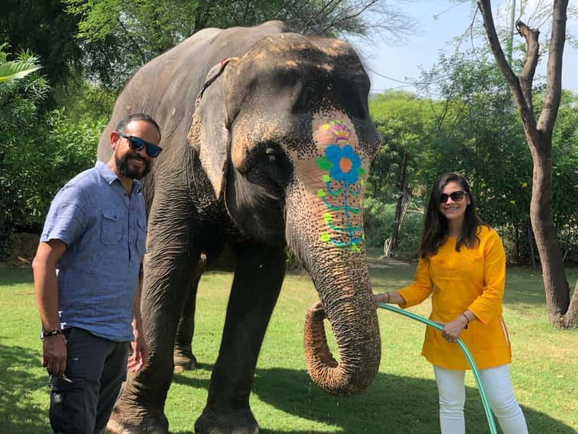 Jaipur: Elephant Interaction Tour - Entering the sanctuary space: what happens when you first meet the elephants