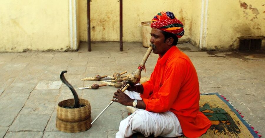 Jaipur: Full-Day Private City Tour by Car with Guide - Meeting up in Jaipur: pickup timing, comfort, and how 5 hours fits
