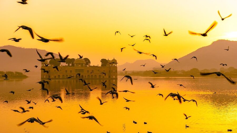 Jaipur: Full-Day Private Sightseeing Tour by Tuk Tuk - Shopping and lunch breaks that do not derail your sightseeing