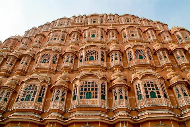 Jaipur Guided Tour with Monkey Temple - The best kind of person for this day