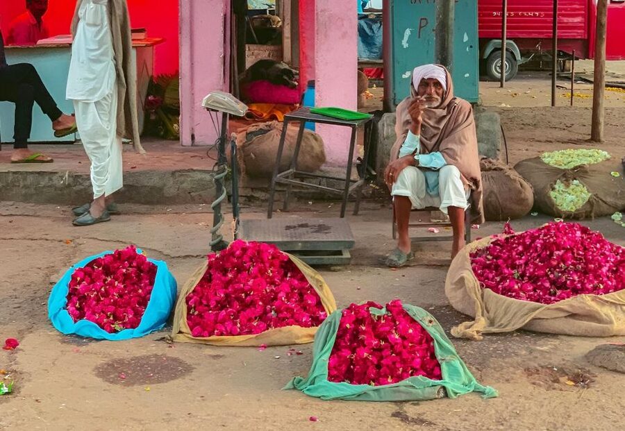 Jaipur: Half-Day Guided Sightseeing Tour with Flower Market - Morning Start at Jaipur’s Flower Market Lanes
